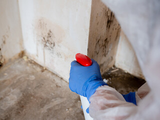 How To Complete Mold And Water Remediation In A Few Days